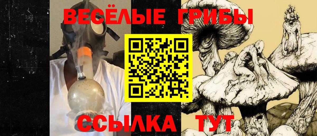 Псилоцибиновые грибы MAGIC MUSHROOMS Альметьевск