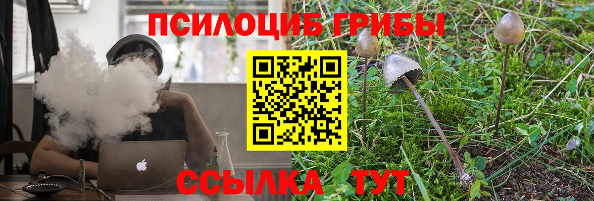 где найти наркотики  Вход с VPN  Галлюциногенные грибы Psilocybine cubensis  Альметьевск  Псилоцибиновые грибы мухоморы 